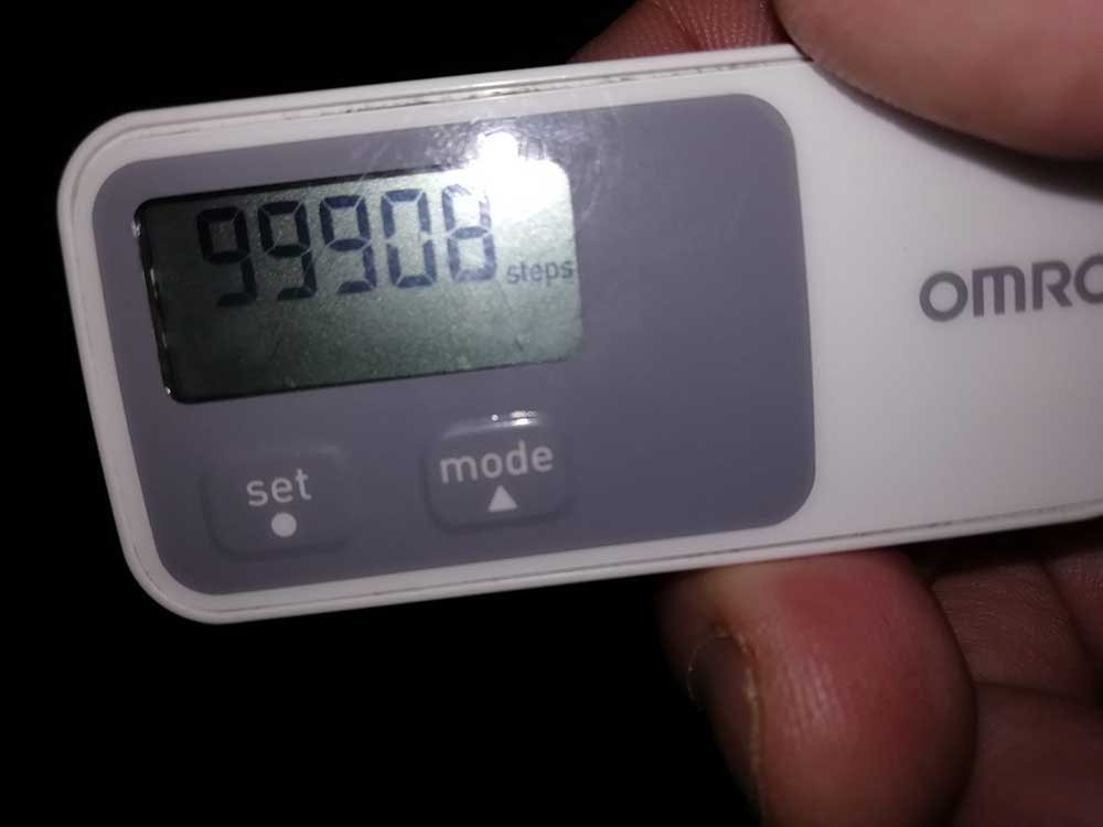 Kevin Millers pedometer training